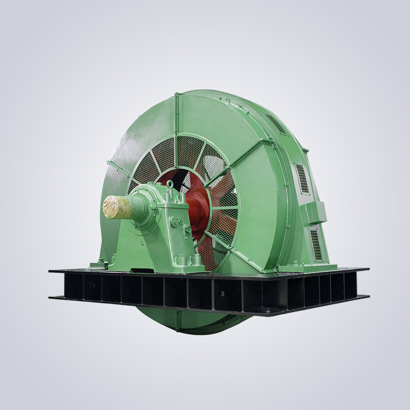 T series large high-voltage three-phase synchronous motor