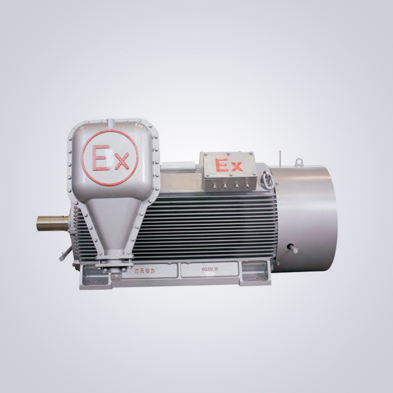 YB2 high-voltage explosion-proof three-phase asynchronous motor